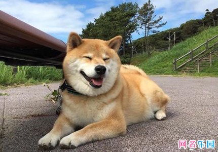 四个字好听的微博名 微博昵称四个字有个性