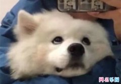 Ļ һͺϵ