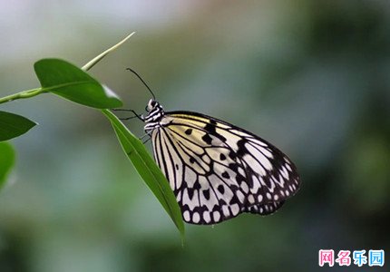 阳光有朝气的网名